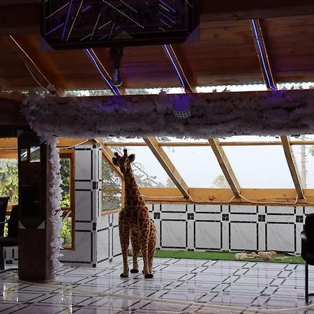 איוביה Hotel Al Azeem מראה חיצוני תמונה